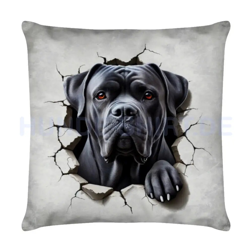 Kissen "Cane Corso - Look" Weiß – hunde-shirt.de