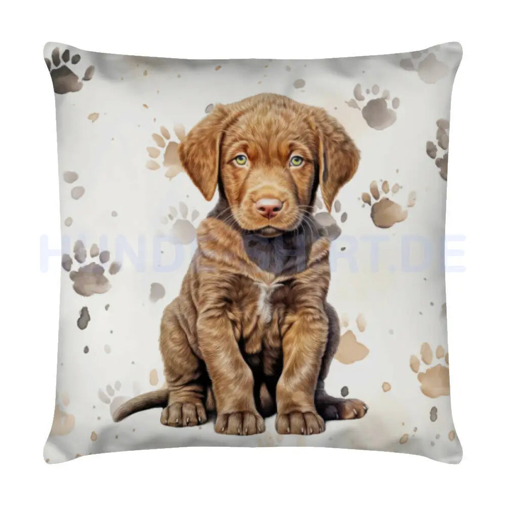 Kissen "Chesapeake Bay Retriever - Puppy" Weiß – hunde-shirt.de