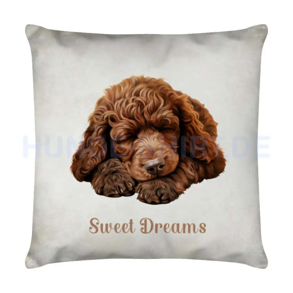 Kissen "Cockapoo - Sweet Dreams" Weiß – hunde-shirt.de