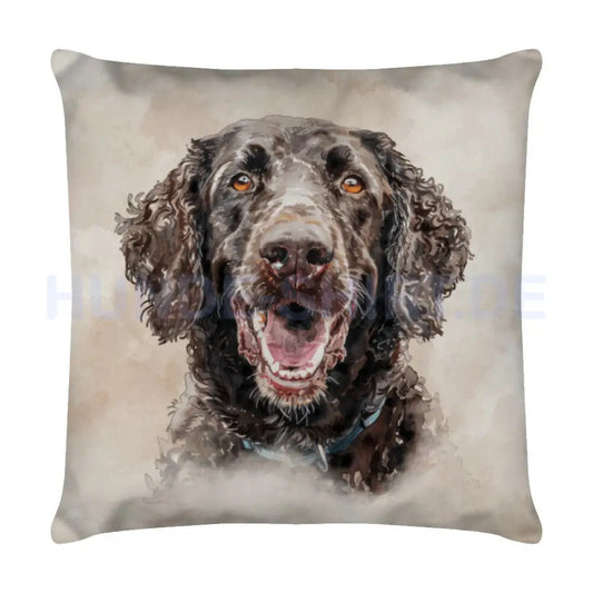 Kissen "Curly Coated Retriever Braun" Weiß – hunde-shirt.de