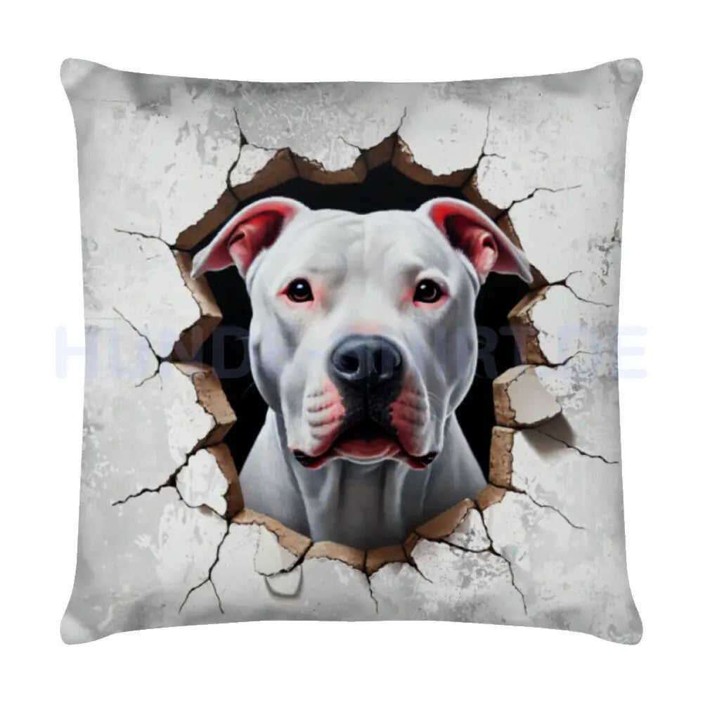 Kissen "Dogo Argentino - Look" Weiß – hunde-shirt.de