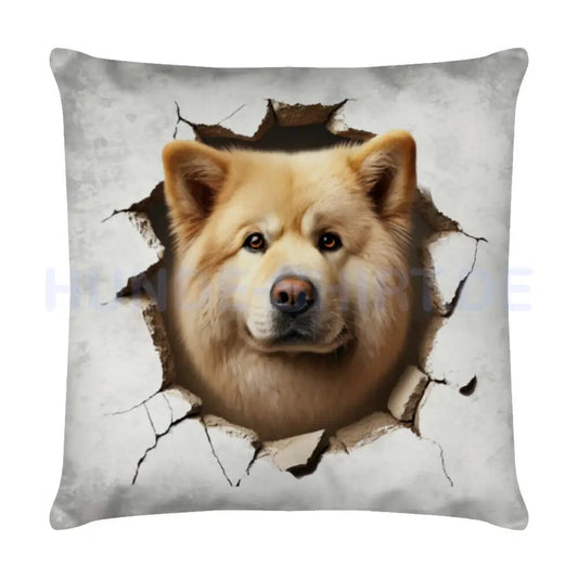 Kissen "Eurasier - Look" Weiß – hunde-shirt.de