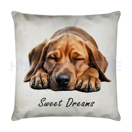 Kissen "Fila Brasileiro - Sweet Dreams" Weiß – hunde-shirt.de