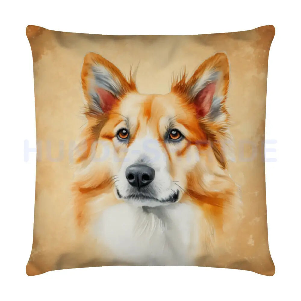 Kissen "Icelandic Sheepdog - Blick" Weiß – hunde-shirt.de