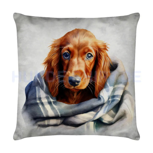 Kissen "Irish Setter - Kuscheln" Weiß – hunde-shirt.de