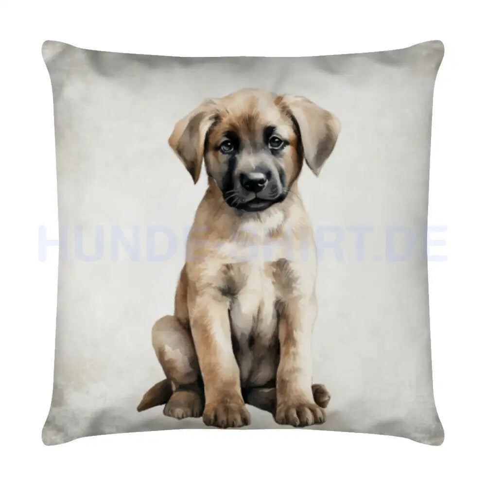 Kissen "Kangal - Puppy" Weiß – hunde-shirt.de