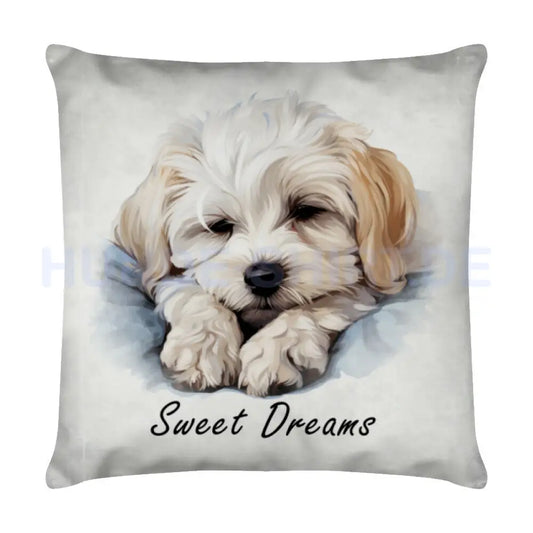 Kissen "Malteser - Sweet Dreams" Weiß – hunde-shirt.de