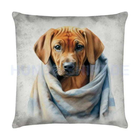 Kissen "Rhodesian Ridgeback - Kuscheln" Weiß – hunde-shirt.de