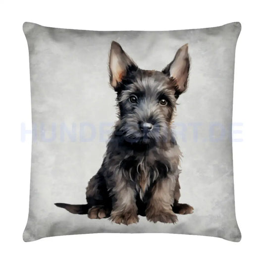 Kissen "Scottish Terrier - Blick" Weiß – hunde-shirt.de