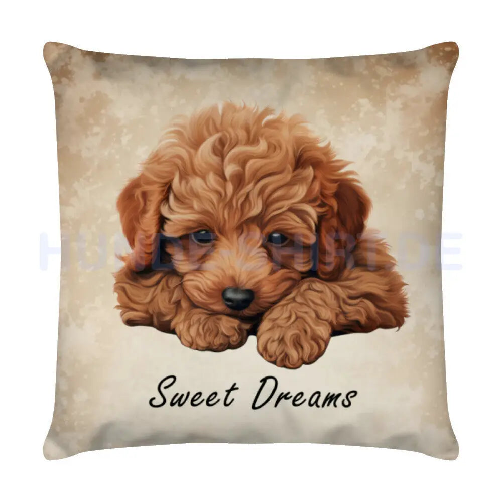 Kissen "Toypudel - Sweet Dreams" Weiß – hunde-shirt.de