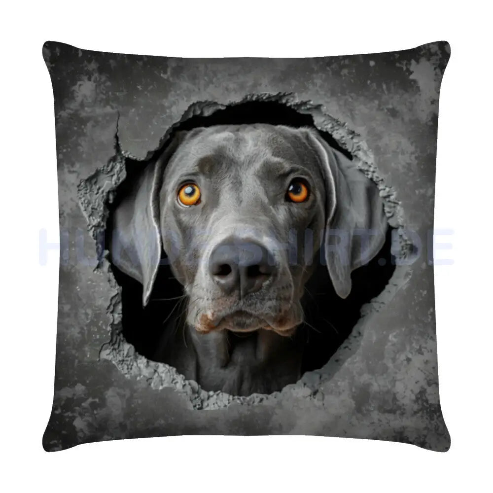 Kissen "Weimaraner - Look" Weiß – hunde-shirt.de