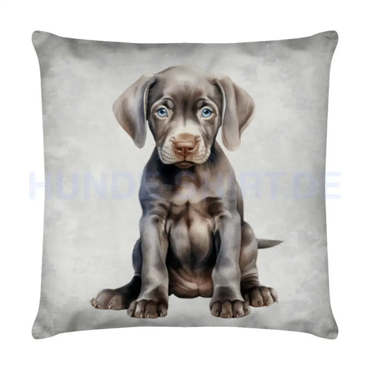 Kissen "Weimaraner - Puppy" Weiß – hunde-shirt.de