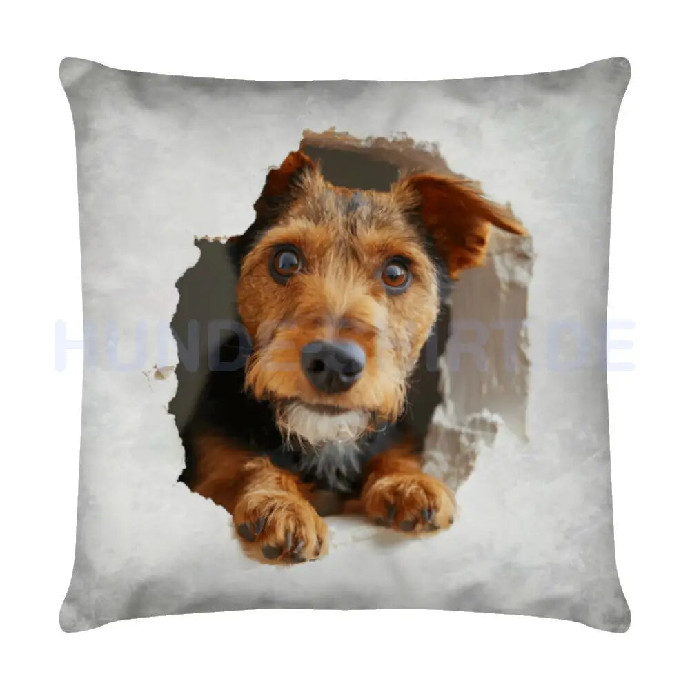 Kissen "Welsh Terrier - Look" Weiß – hunde-shirt.de