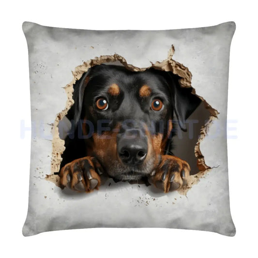 Kissen "Zwergpinscher - Look" Weiß – hunde-shirt.de