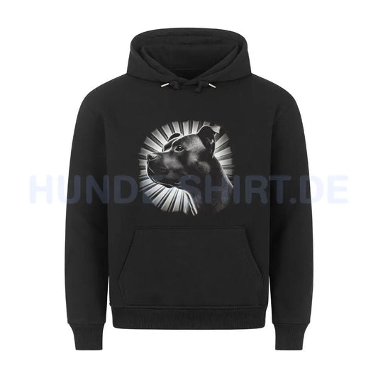 Premium Hoodie "AmStaff - Shine" Schwarz – hunde-shirt.de