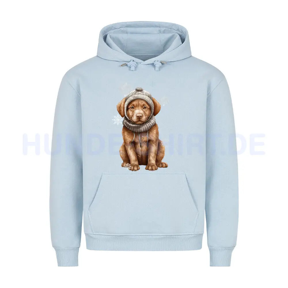 Premium Hoodie "Chesapeake Bay Retriever Winter" Babyblau – hunde-shirt.de