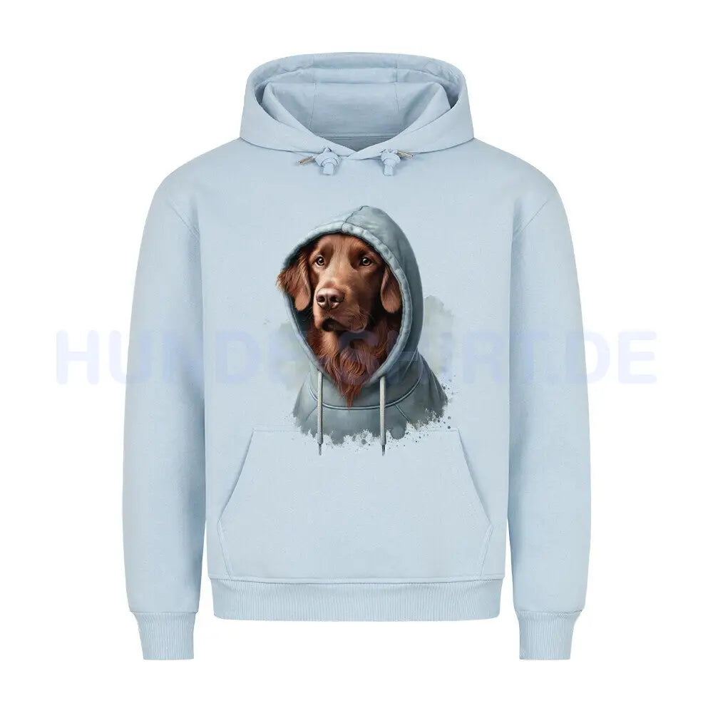 Premium Hoodie "Flat Coated Retriever braun Hooded" Babyblau – hunde-shirt.de