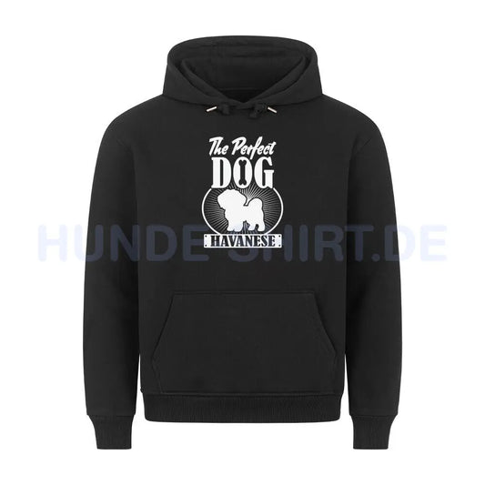 Premium Hoodie "Havaneser - Perfect Dog" Schwarz – hunde-shirt.de