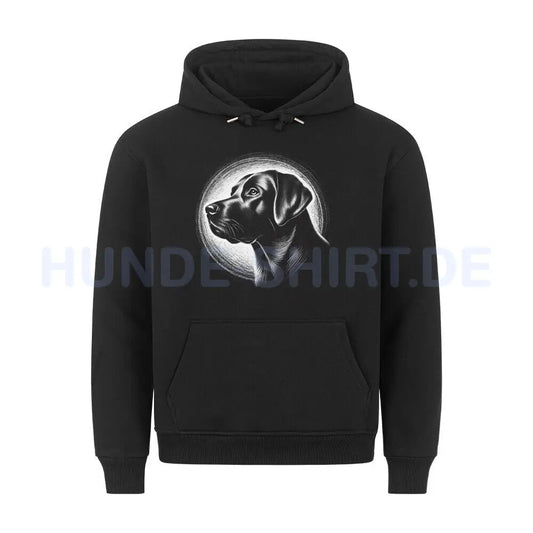 Premium Hoodie "Labrador - Shine" Schwarz – hunde-shirt.de