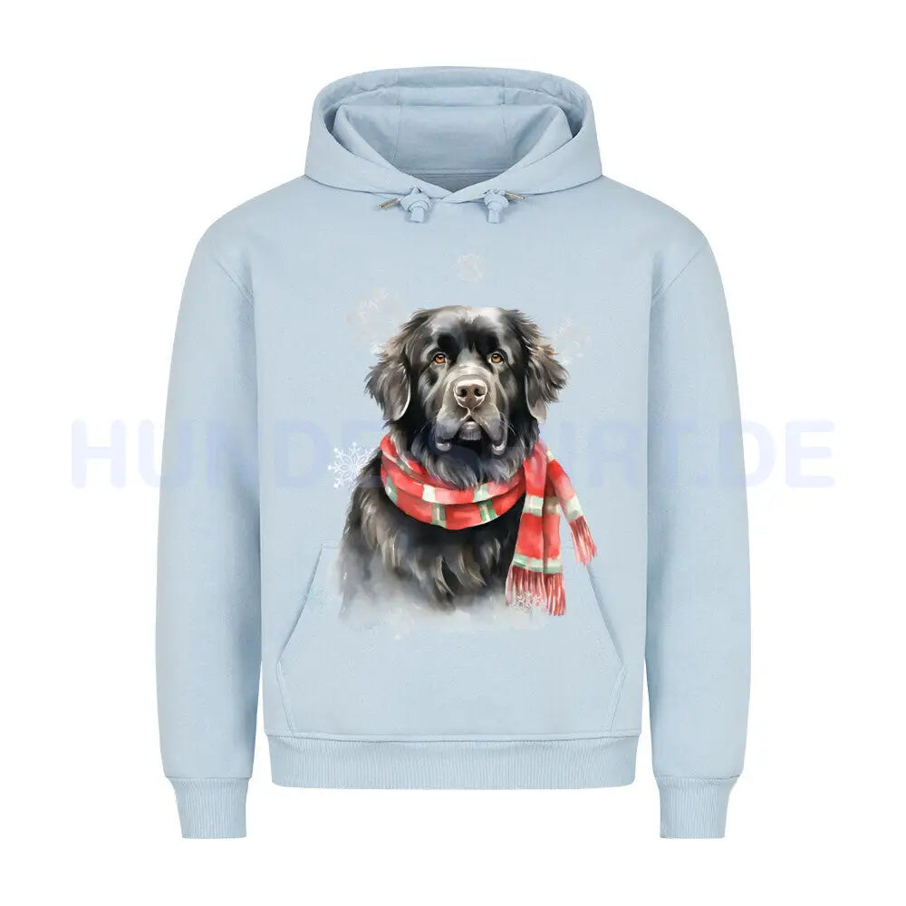 Premium Hoodie "Neufundländer Winter" Babyblau – hunde-shirt.de