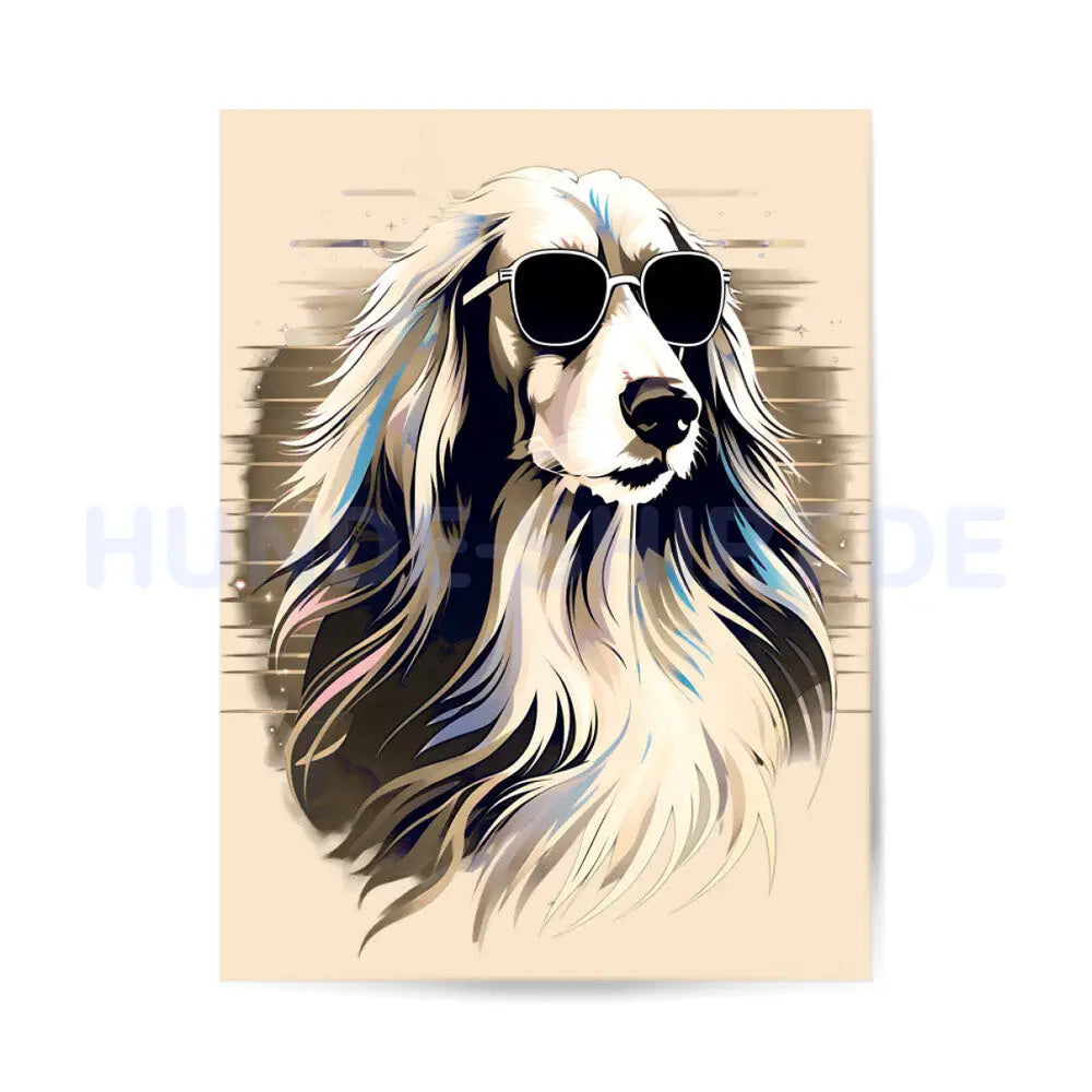 Premium Poster "Afghanischer Windhund" – hunde-shirt.de