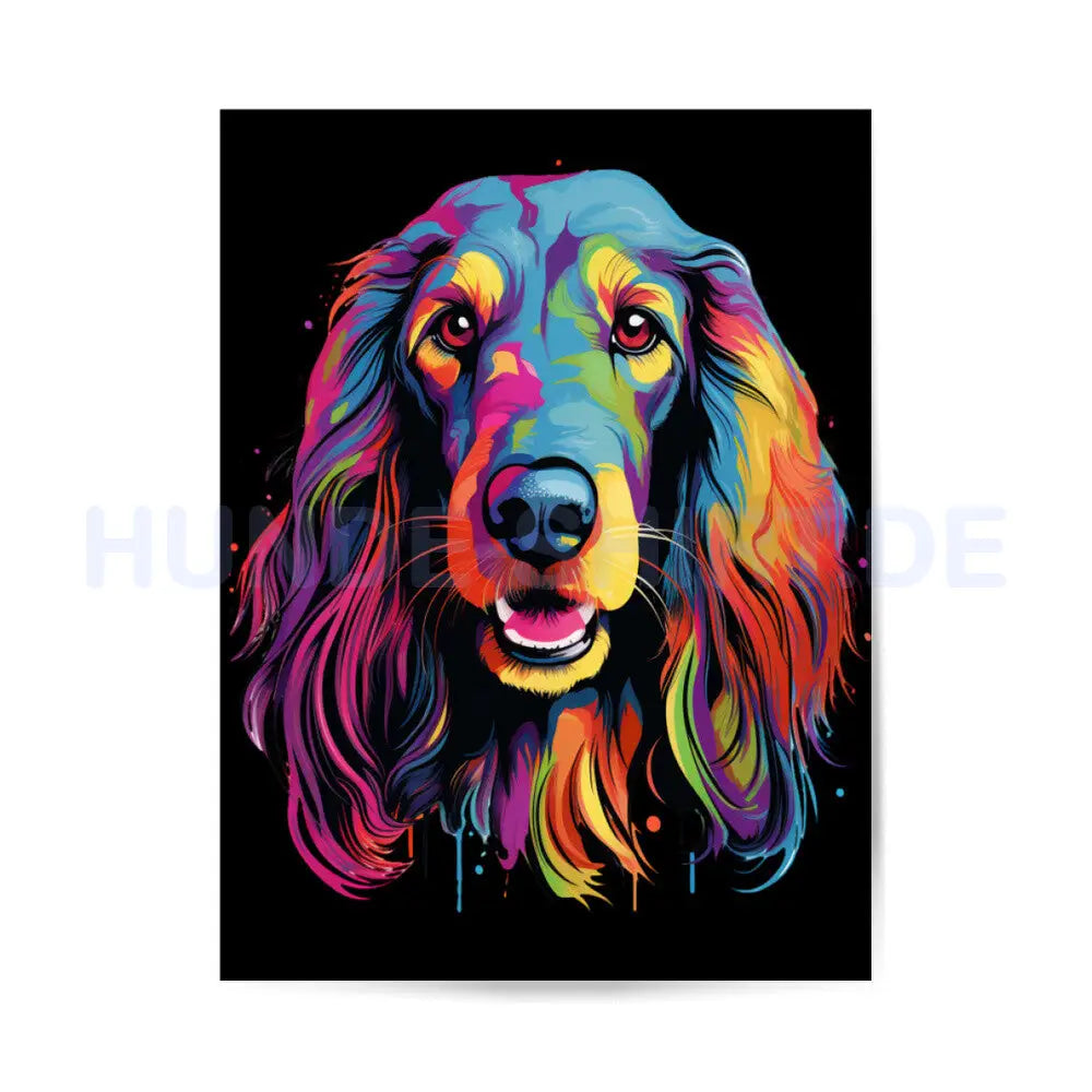 Premium Poster "Afghanischer Windhund ART" – hunde-shirt.de