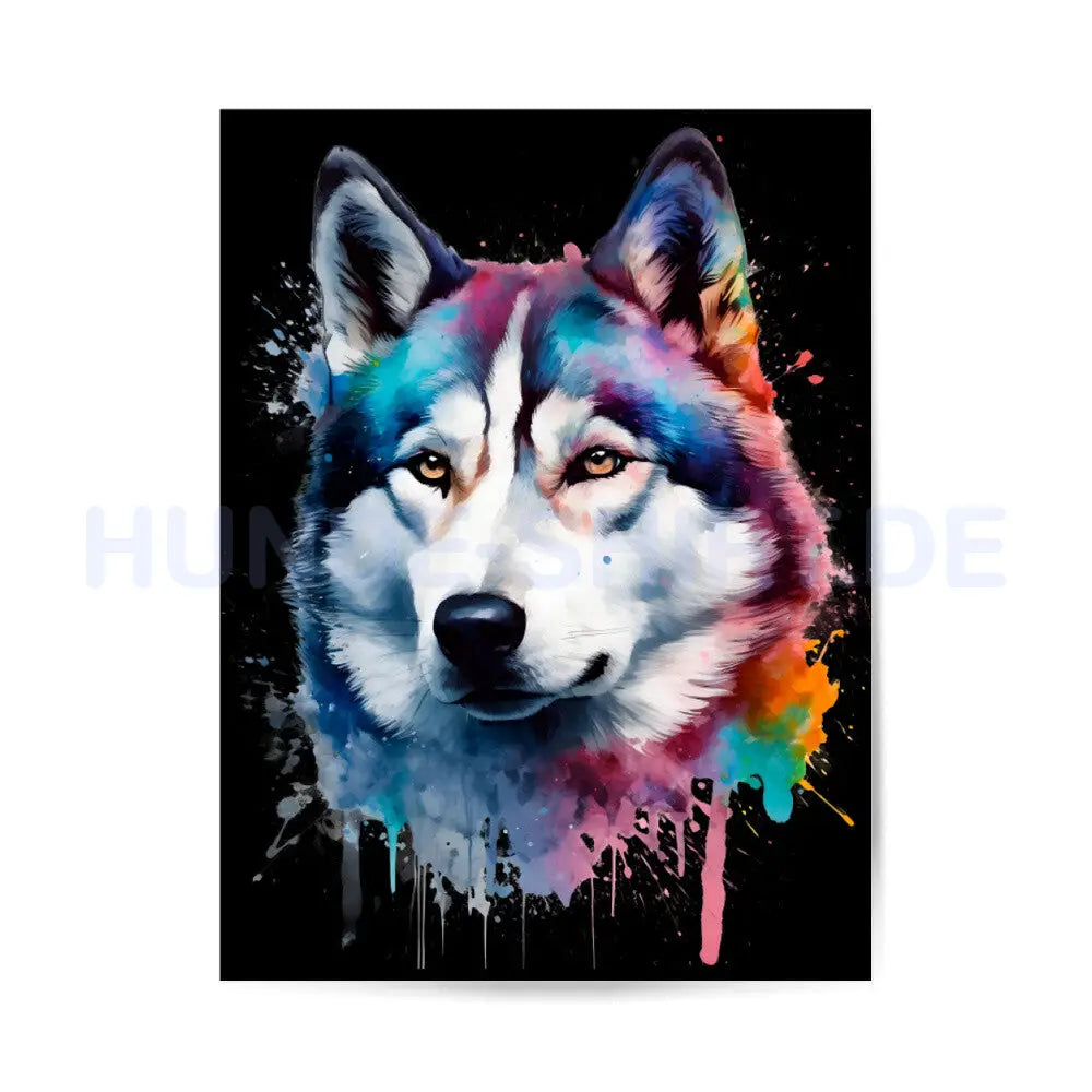 Premium Poster "Alaskan Malamute" – hunde-shirt.de