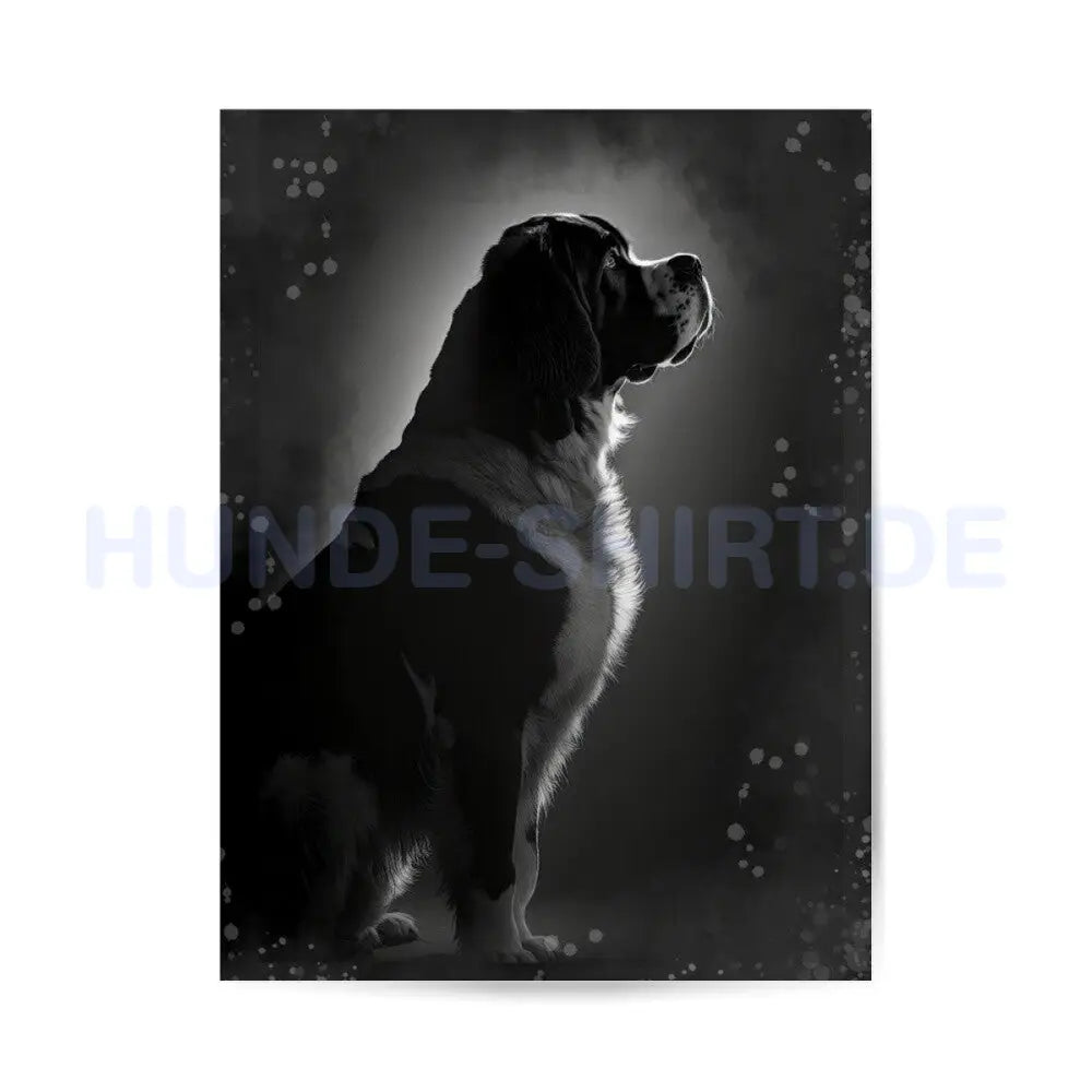 Premium Poster "Berhardiner" – hunde-shirt.de