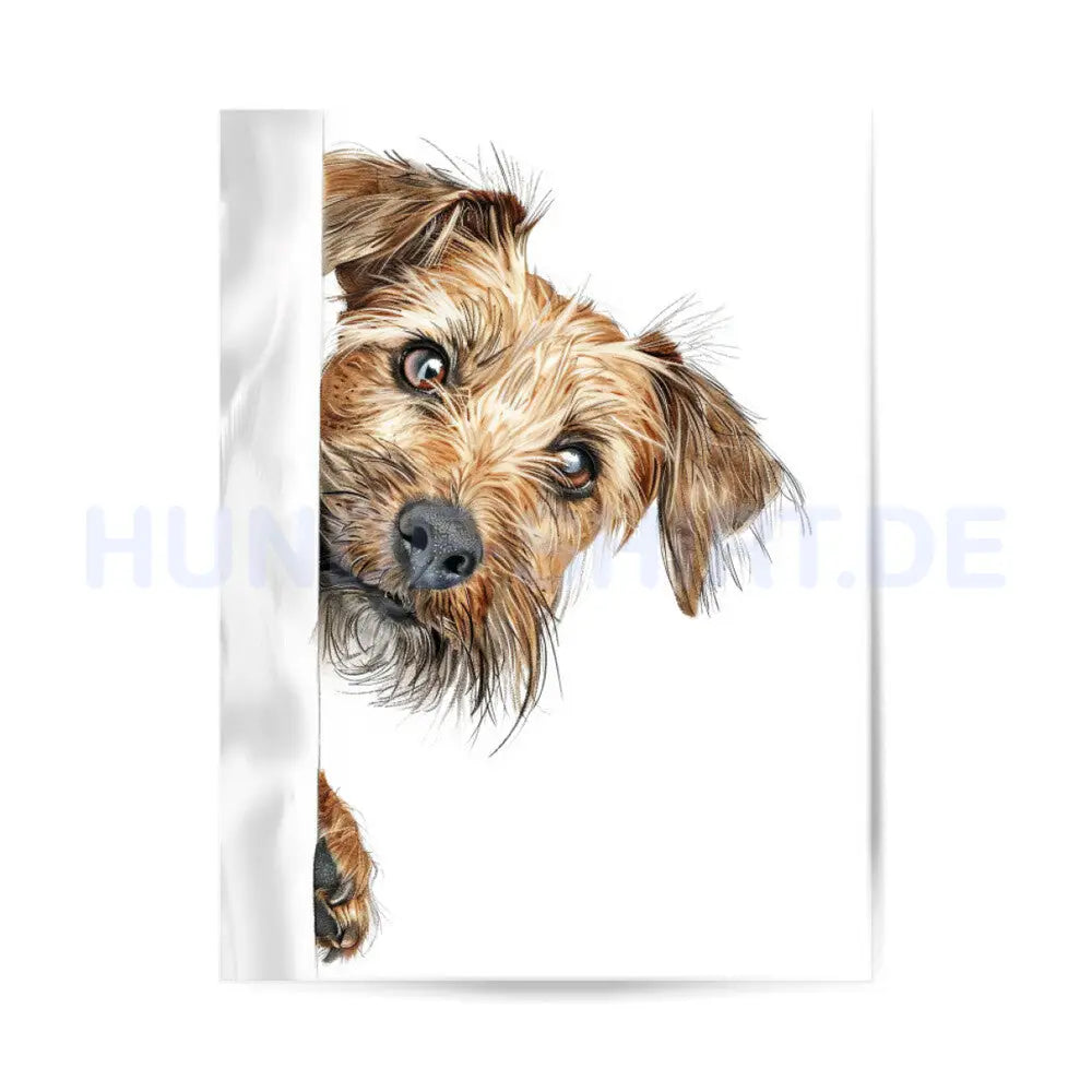 Premium Poster "Border Terrier Edition white" – hunde-shirt.de