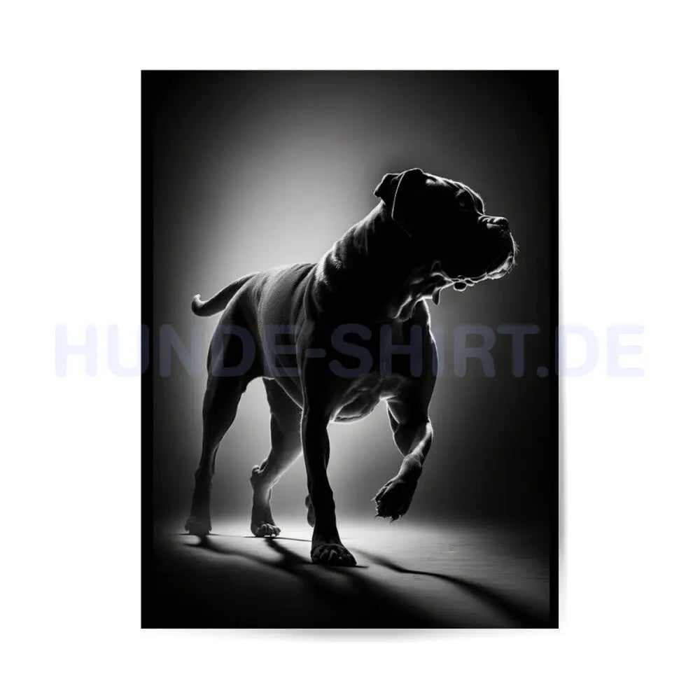 Premium Poster "Cane Corso Shadow" – hunde-shirt.de