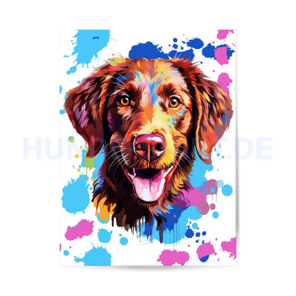 Premium Poster "Chesapeake Bay Retriever Splash" – hunde-shirt.de