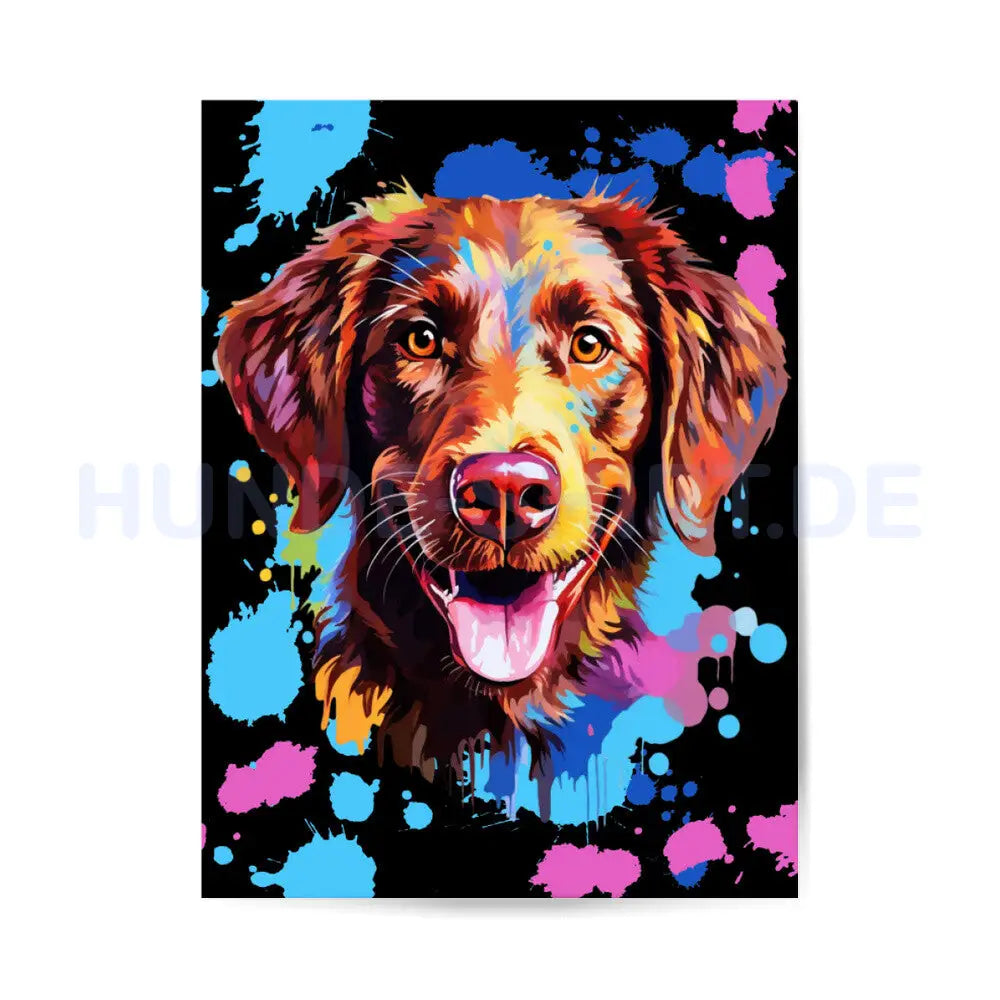 Premium Poster "Chesapeake Bay Retriever Splash black" – hunde-shirt.de