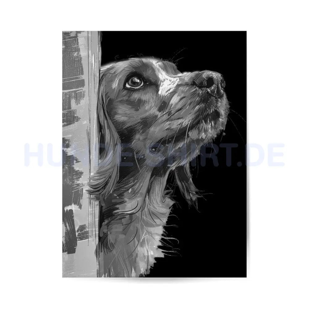 Premium Poster "Cocker Edition black" – hunde-shirt.de