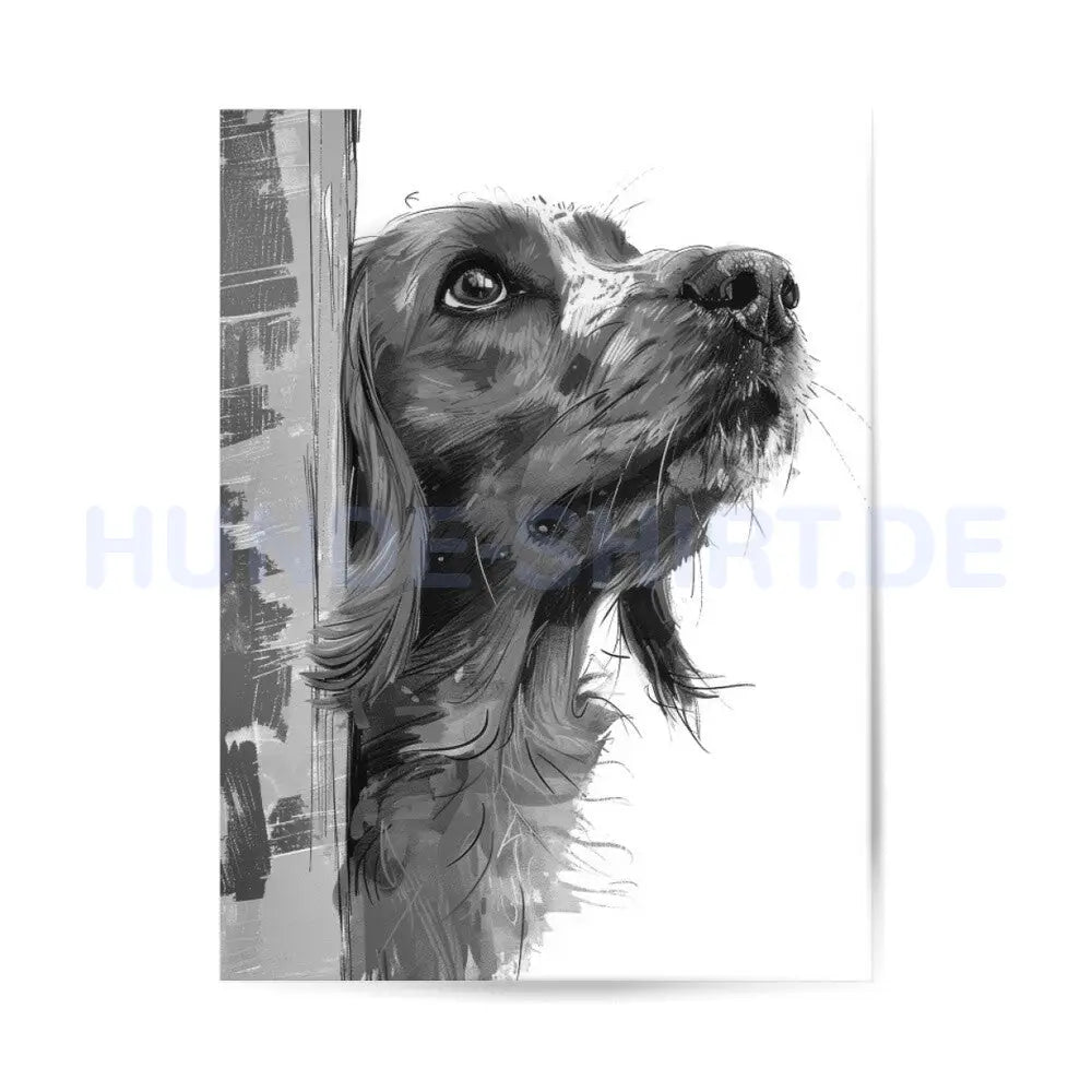 Premium Poster "Cocker Edition white" – hunde-shirt.de