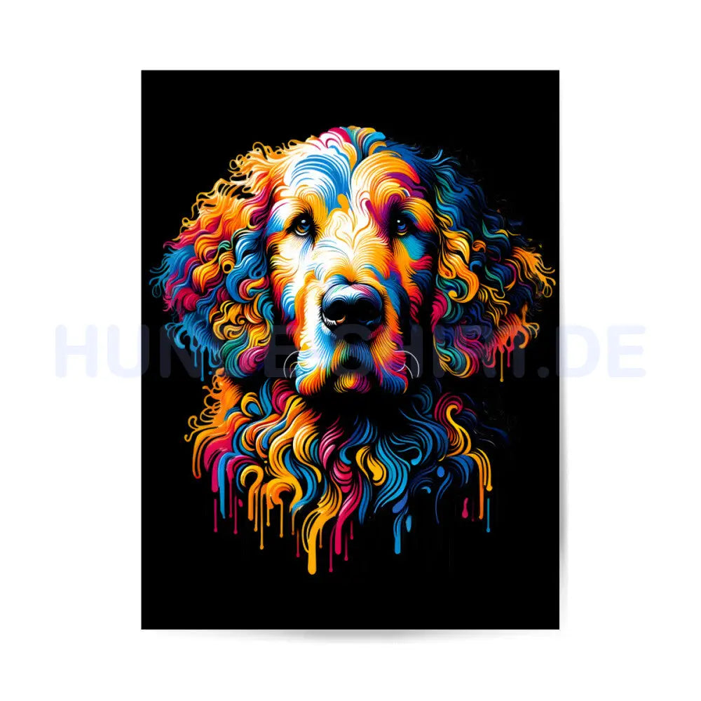 Premium Poster "Curly Coated Retriever melt" – hunde-shirt.de