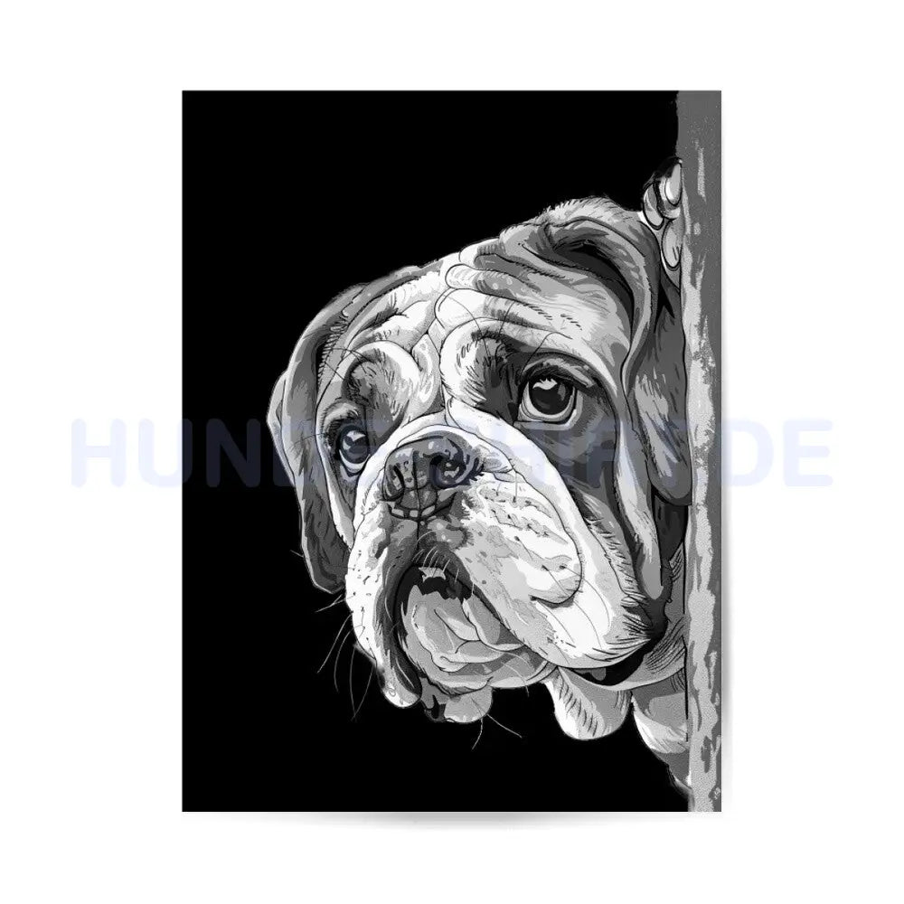 Premium Poster "English Bulldog!" – hunde-shirt.de