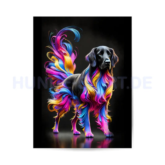 Premium Poster "Flat Coated Retiever Shine" – hunde-shirt.de