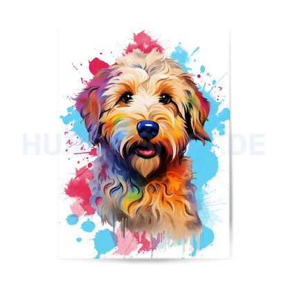 Premium Poster "Golden Doodle Splash"" – hunde-shirt.de