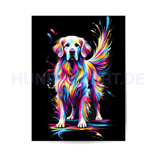 Premium Poster "Golden Retriever Black" – hunde-shirt.de