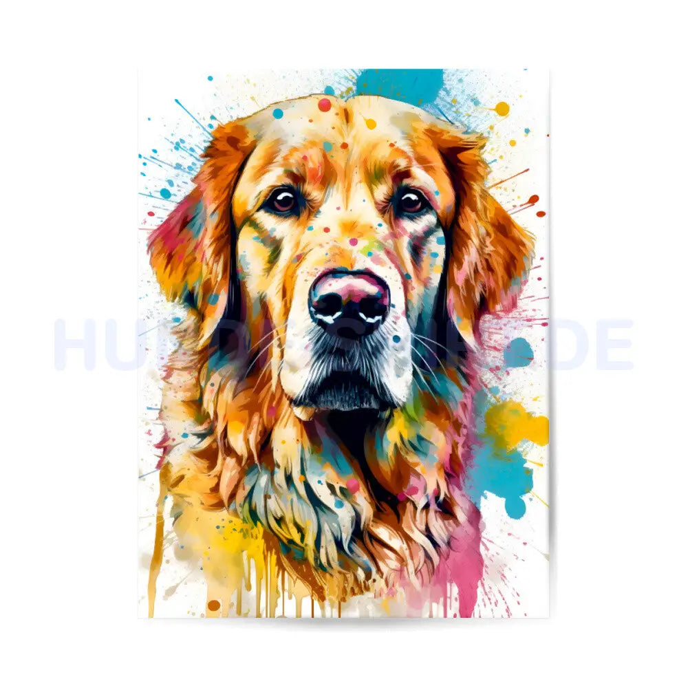 Premium Poster "Golden Retriever Paint" – hunde-shirt.de