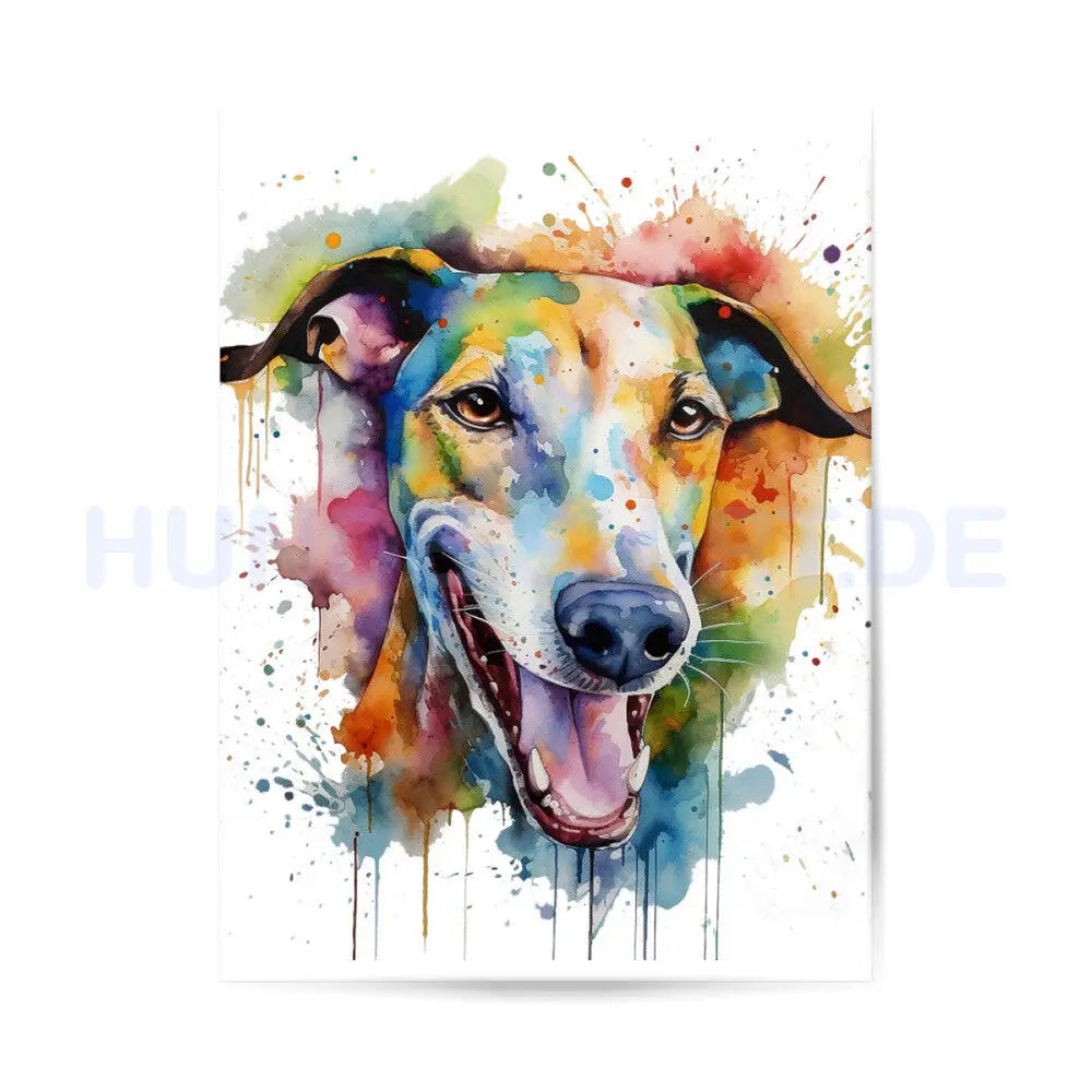 Premium Poster "Greyhound Splash" – hunde-shirt.de