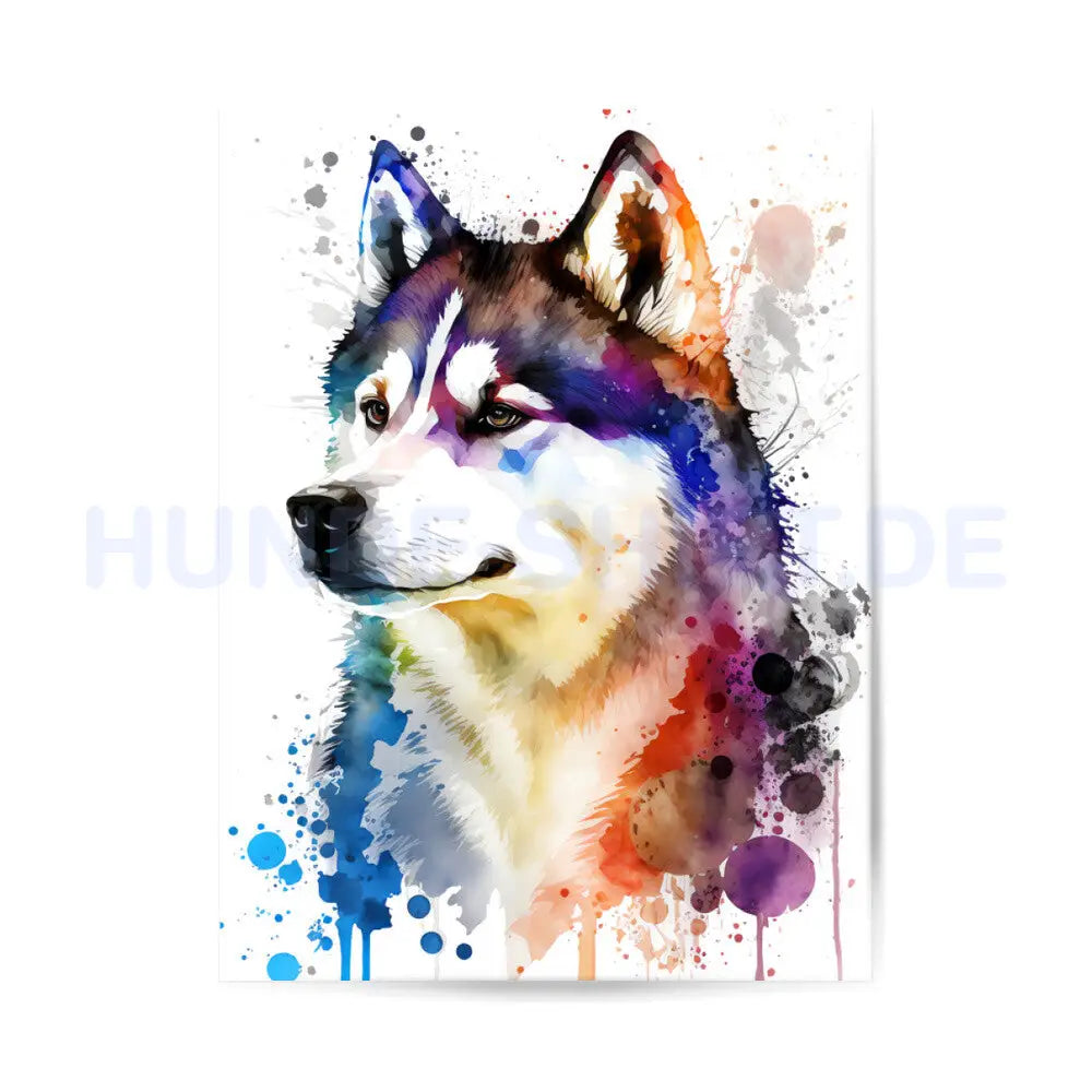 Premium Poster "Husky ART" – hunde-shirt.de