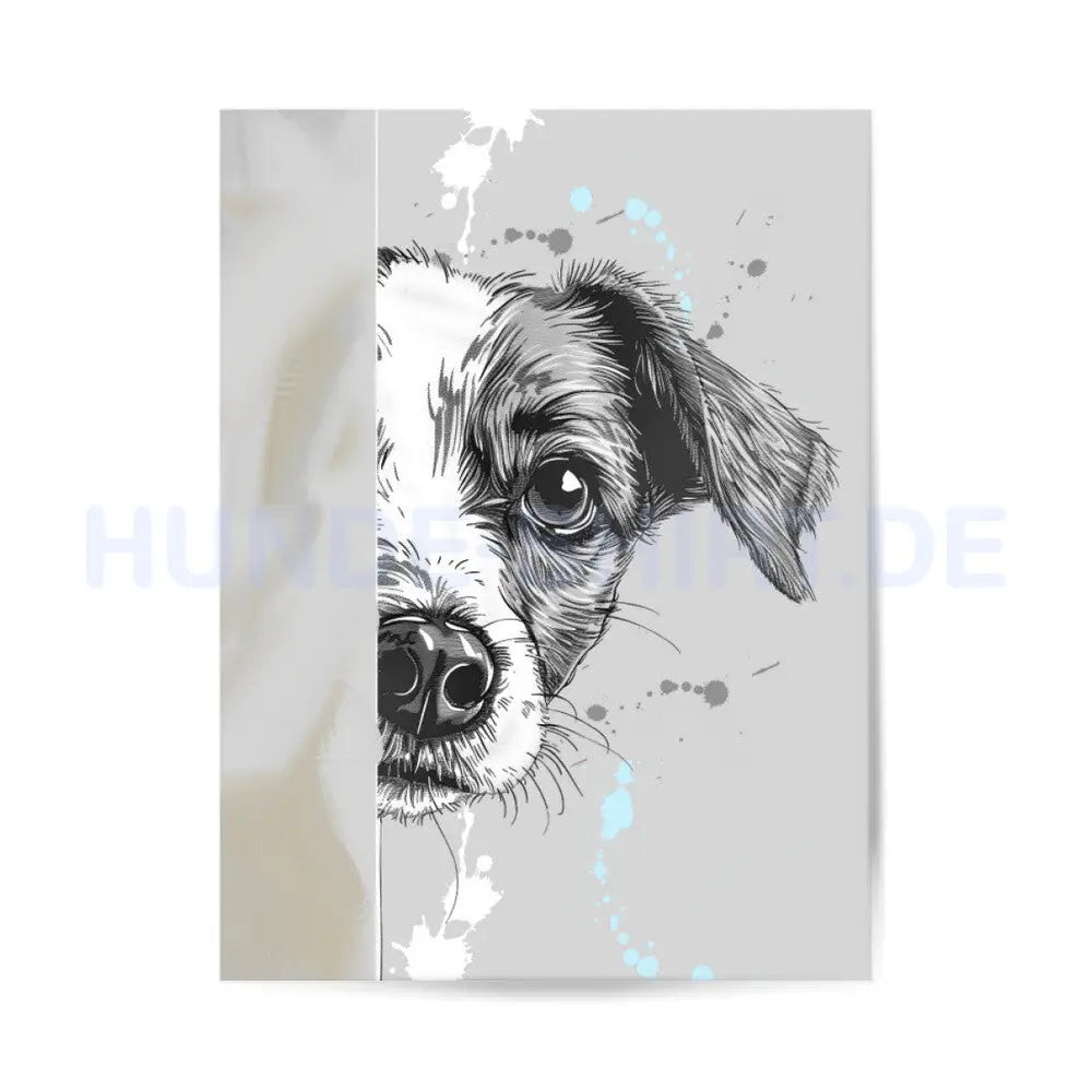 Premium Poster "Jack Russell Terrier Hide" – hunde-shirt.de