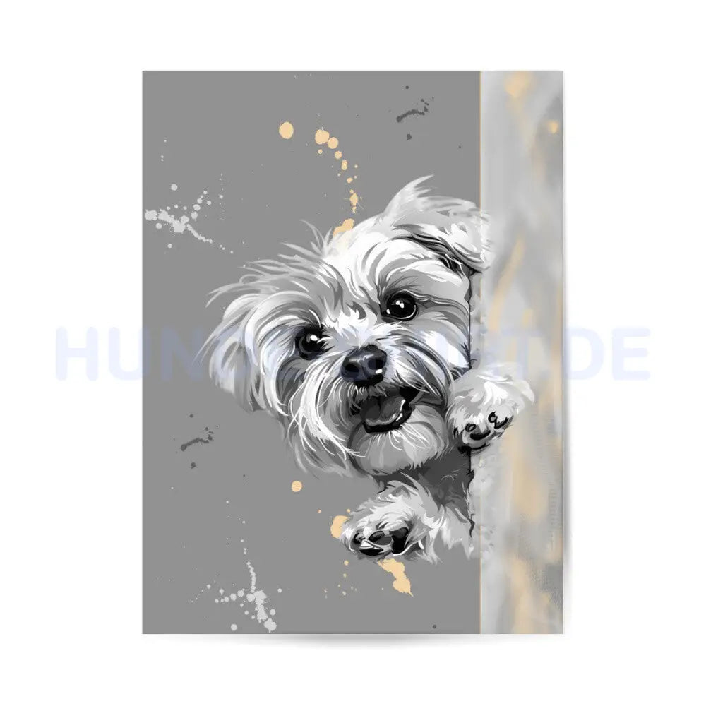 Premium Poster "Malteser Paint" – hunde-shirt.de