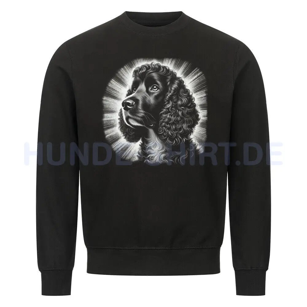 Premium Sweatshirt "American Water - Shine" Schwarz – hunde-shirt.de