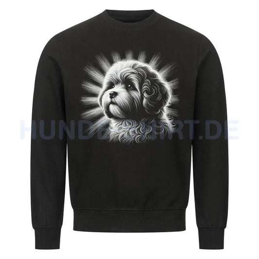 Premium Sweatshirt "Bologneser - Shine" Schwarz – hunde-shirt.de