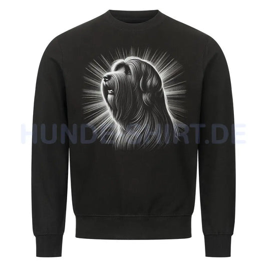 Premium Sweatshirt "Briard - Shine" Schwarz – hunde-shirt.de