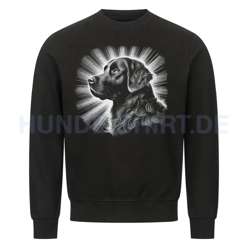 Premium Sweatshirt "Chesapeake Bay - Bright" Schwarz – hunde-shirt.de