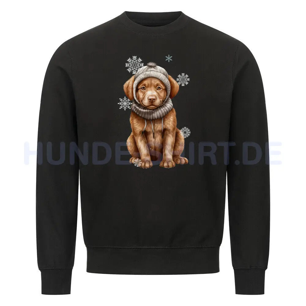 Premium Sweatshirt "Chesapeake Bay Retriever Winter" Schwarz – hunde-shirt.de