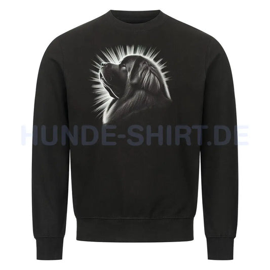 Premium Sweatshirt "Do Khyi - Shine" Schwarz – hunde-shirt.de